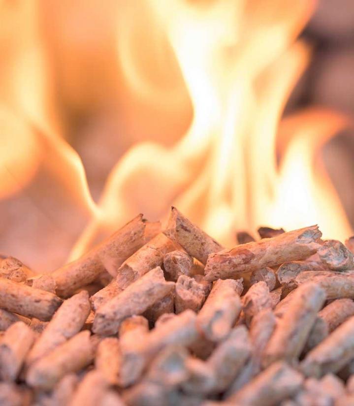Wood and pellet stoves Grignols